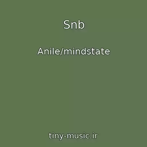 کاور آهنگ Snb از Anile/mindstate