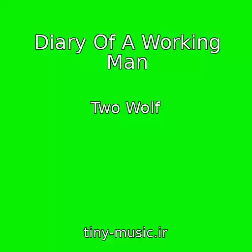 کاور آهنگ Diary Of A Working Man از Two Wolf