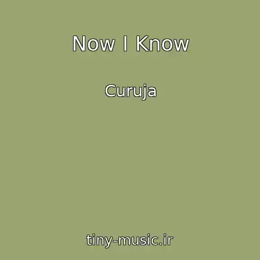 کاور آهنگ Now I Know از Curuja