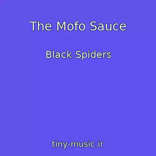 کاور آهنگ The Mofo Sauce از Black Spiders