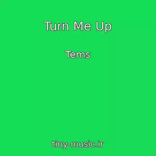 کاور آهنگ Turn Me Up از Tems
