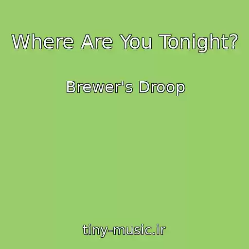 کاور آهنگ Where Are You Tonight? از Brewer's Droop
