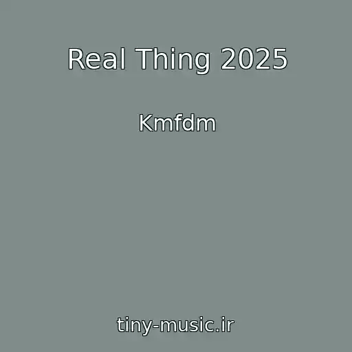کاور آهنگ Real Thing 2025 از Kmfdm