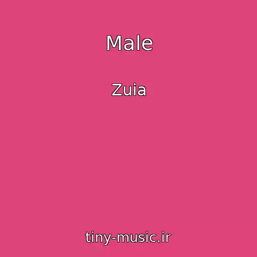 کاور آهنگ Male از Zuia