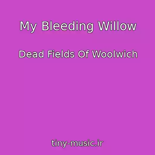 کاور آهنگ My Bleeding Willow از Dead Fields Of Woolwich