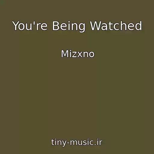 کاور آهنگ You're Being Watched از Mizxno