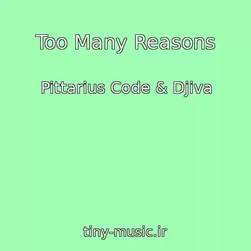 کاور آهنگ Too Many Reasons از Pittarius Code & Djiva