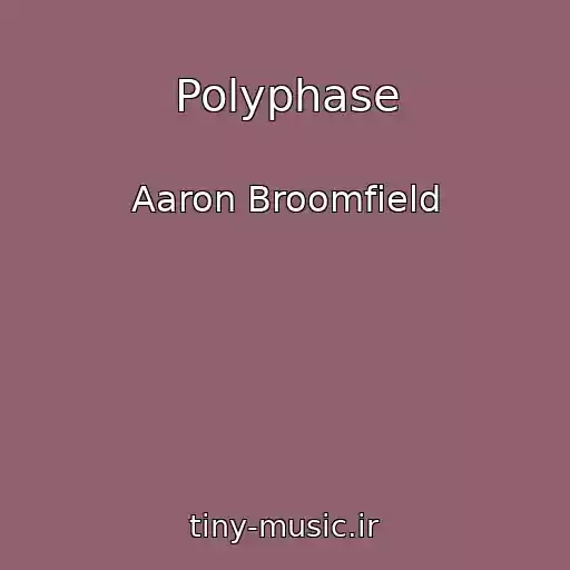 کاور آهنگ Polyphase از Aaron Broomfield