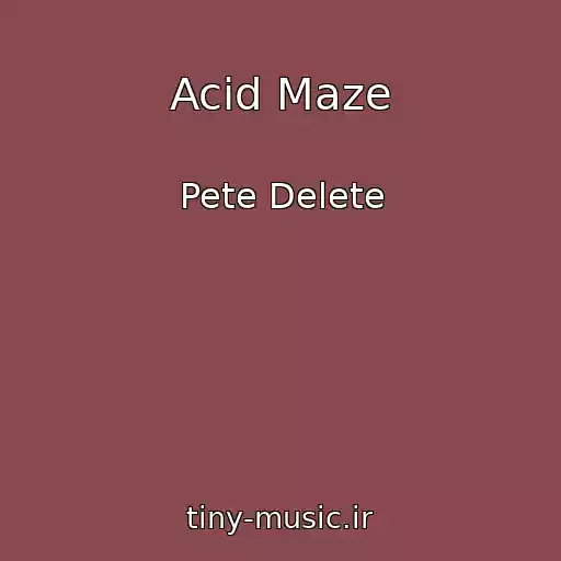 کاور آهنگ Acid Maze از Pete Delete