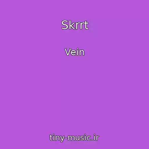 کاور آهنگ Skrrt از Vein