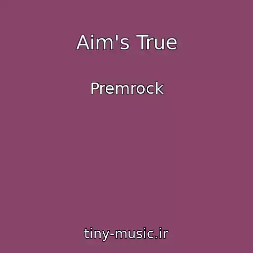 کاور آهنگ Aim's True از Premrock