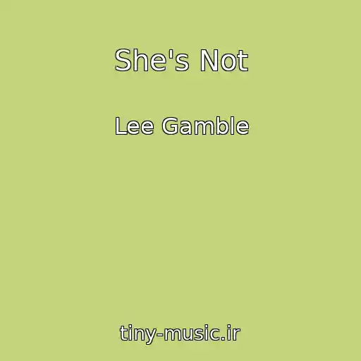 کاور آهنگ She's Not از Lee Gamble