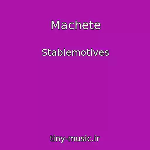 کاور آهنگ Machete از Stablemotives