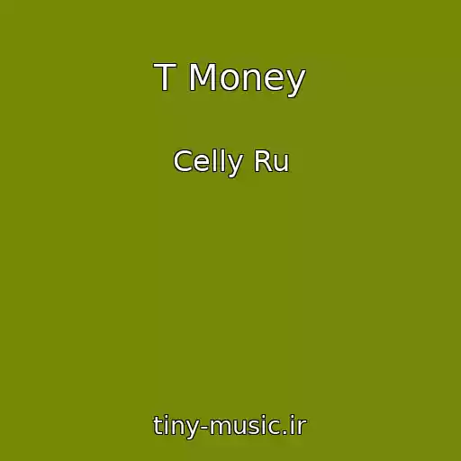 کاور آهنگ T Money از Celly Ru