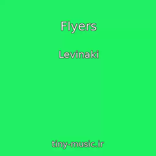 کاور آهنگ Flyers از Levinaki