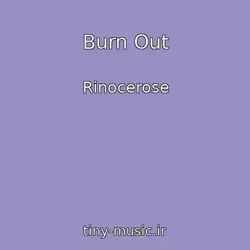 کاور آهنگ Burn Out از Rinocerose