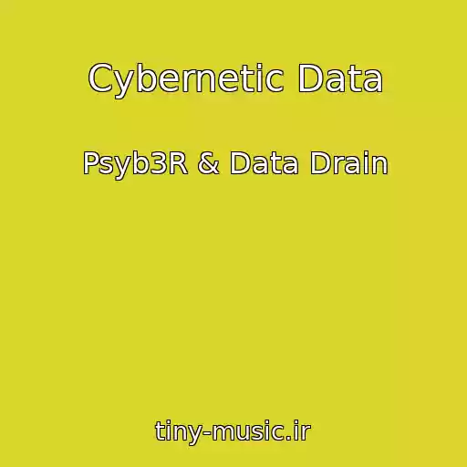 کاور آهنگ Cybernetic Data از Psyb3R & Data Drain