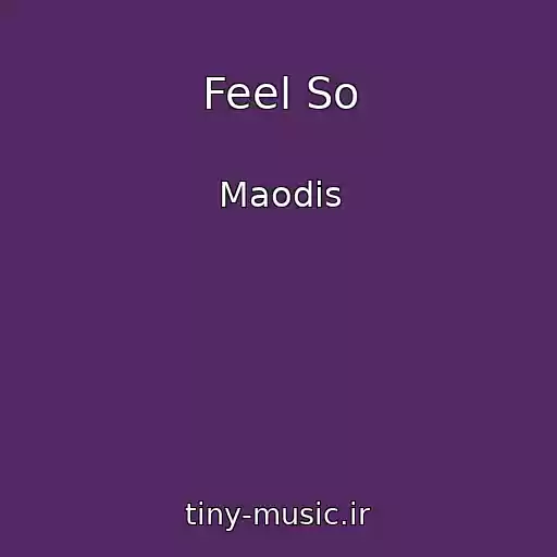 کاور آهنگ Feel So از Maodis