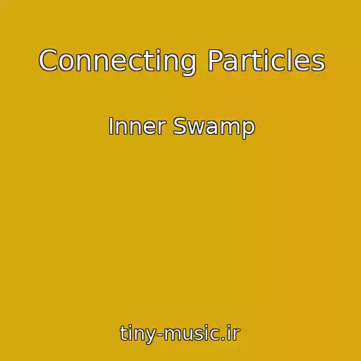 کاور آهنگ Connecting Particles از Inner Swamp