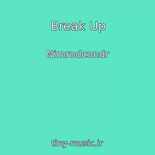 کاور آهنگ Break Up از Nimrodcondr