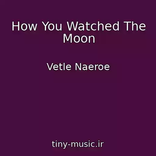 کاور آهنگ How You Watched The Moon از Vetle Naeroe