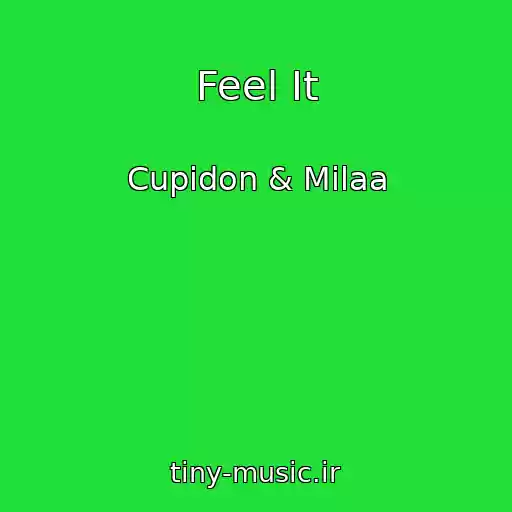 کاور آهنگ Feel It از Cupidon & Milaa