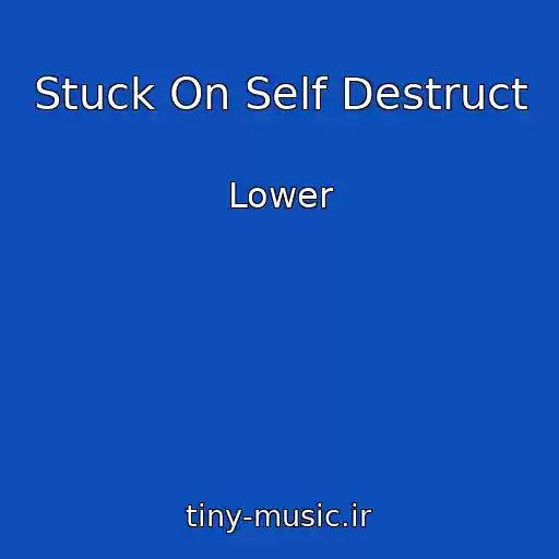 کاور آهنگ Stuck On Self Destruct از Lower