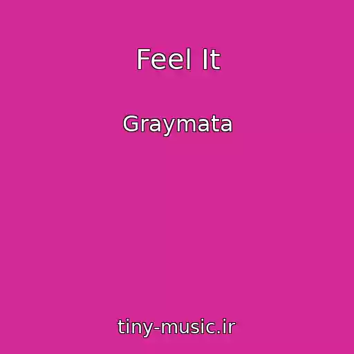 کاور آهنگ Feel It از Graymata