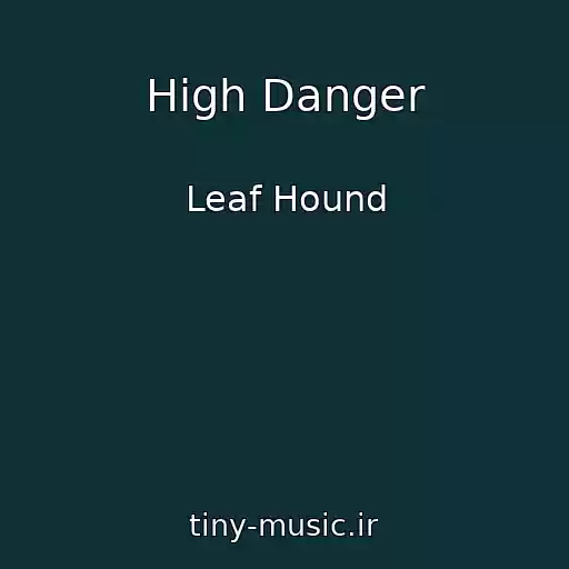 کاور آهنگ High Danger از Leaf Hound
