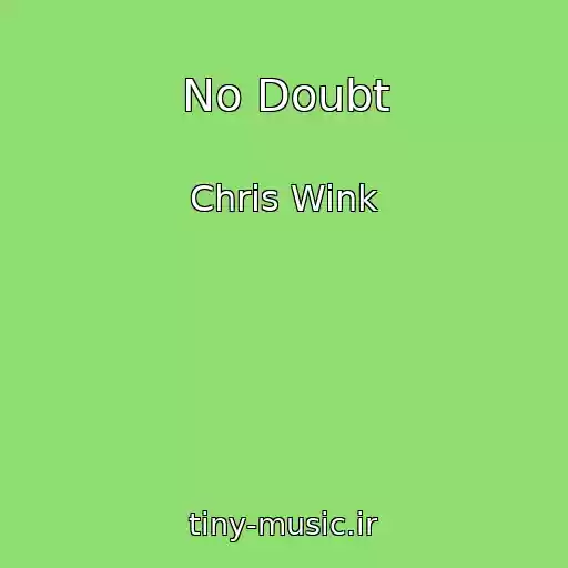 کاور آهنگ No Doubt از Chris Wink