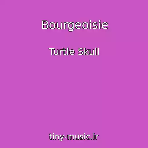 کاور آهنگ Bourgeoisie از Turtle Skull