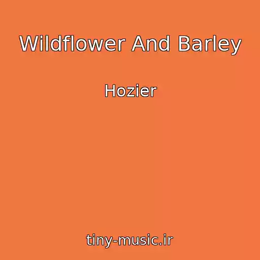 کاور آهنگ Wildflower And Barley از Hozier