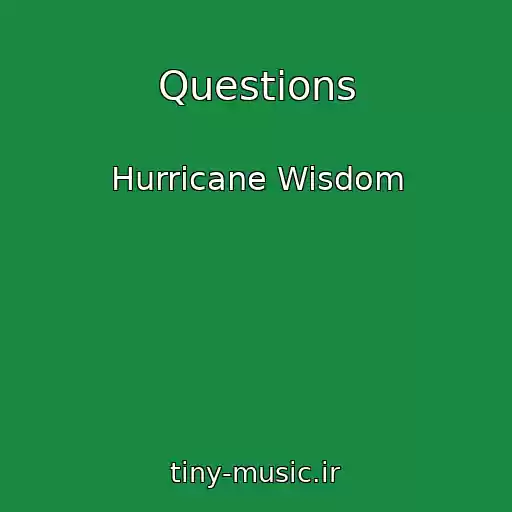 کاور آهنگ Questions از Hurricane Wisdom