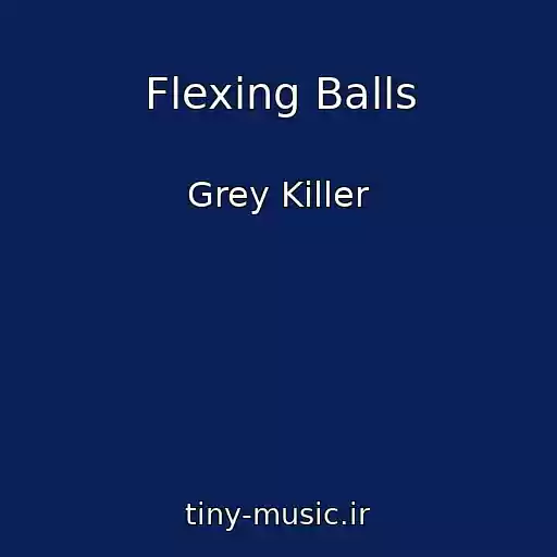 کاور آهنگ Flexing Balls از Grey Killer