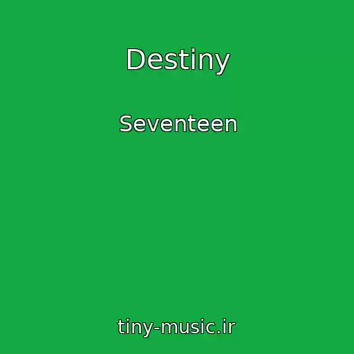 کاور آهنگ Destiny از Seventeen