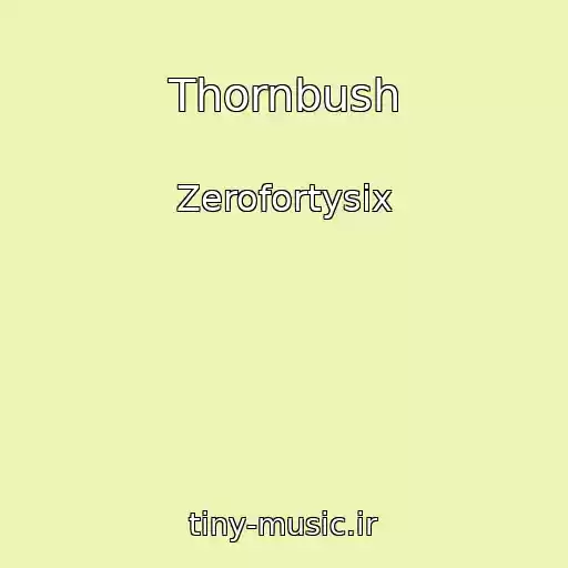 کاور آهنگ Thornbush از Zerofortysix