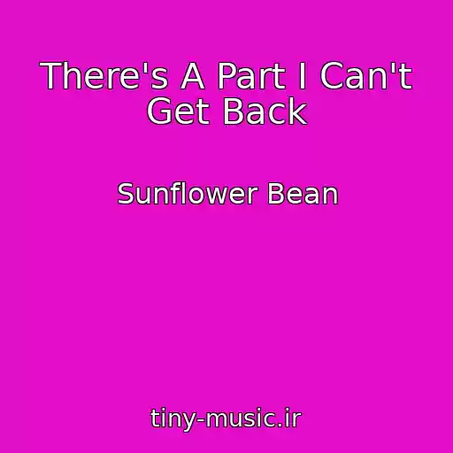 کاور آهنگ There's A Part I Can't Get Back از Sunflower Bean