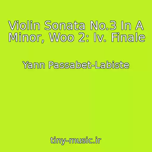 کاور آهنگ Violin Sonata No.3 In A Minor, Woo 2: Iv. Finale از Yann Passabet-Labiste