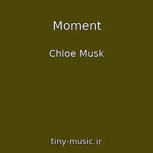 کاور آهنگ Moment از Chloe Musk