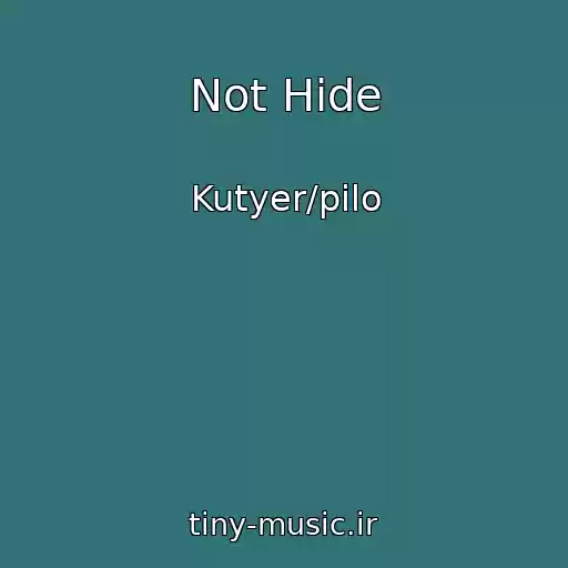 کاور آهنگ Not Hide از Kutyer/pilo