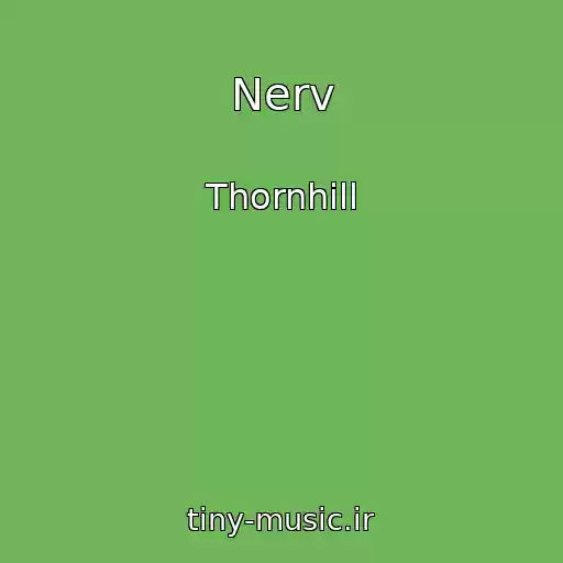 کاور آهنگ Nerv از Thornhill
