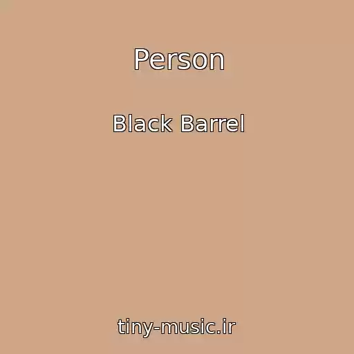 کاور آهنگ Person از Black Barrel