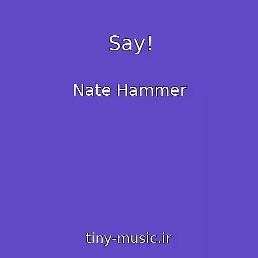 کاور آهنگ Say! از Nate Hammer