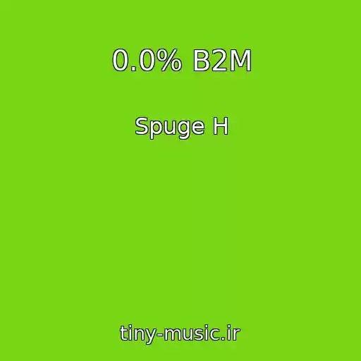 کاور آهنگ 0.0% B2M از Spuge H