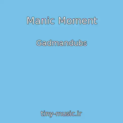 کاور آهنگ Manic Moment از Gadmandubs