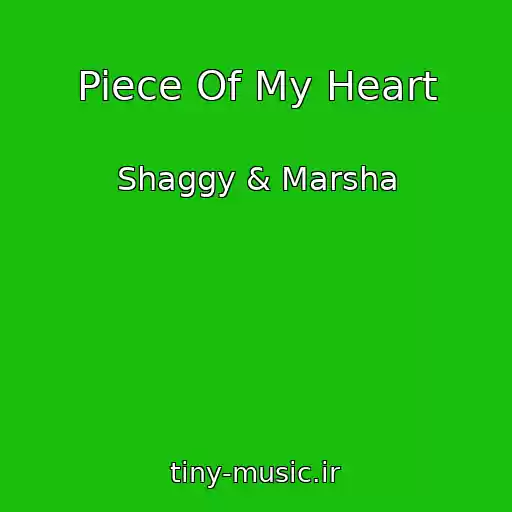 کاور آهنگ Piece Of My Heart از Shaggy & Marsha