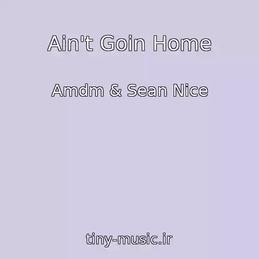 کاور آهنگ Ain't Goin Home از Amdm & Sean Nice