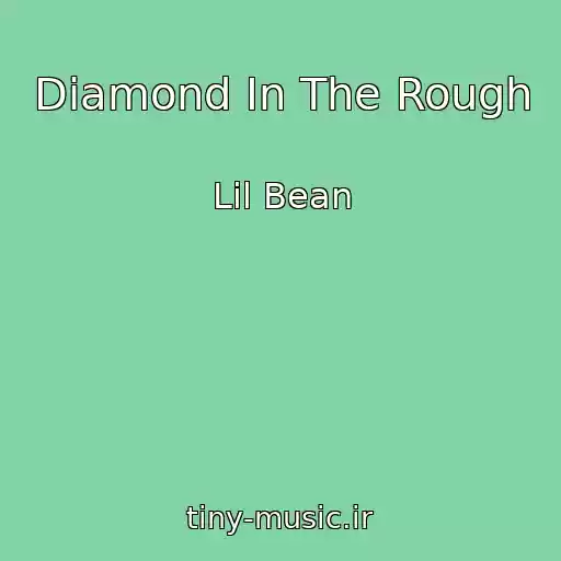 کاور آهنگ Diamond In The Rough از Lil Bean
