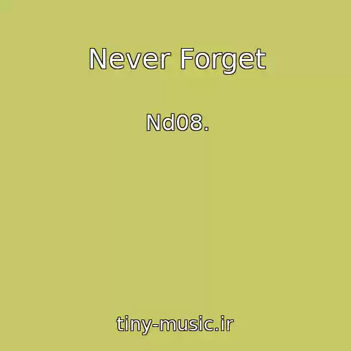 کاور آهنگ Never Forget از Nd08.