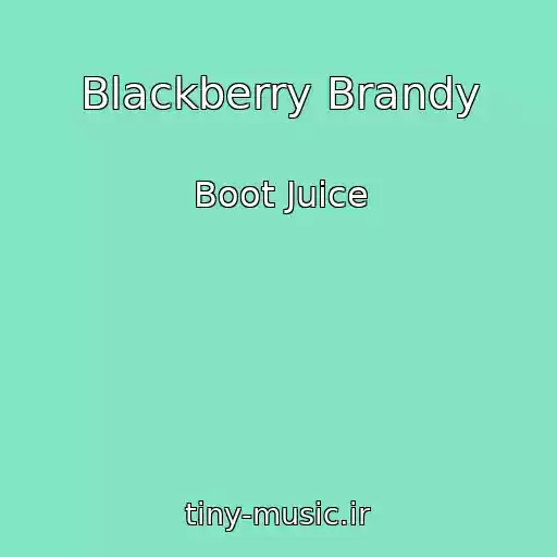 کاور آهنگ Blackberry Brandy از Boot Juice